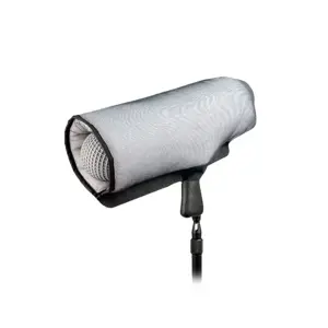 Remote Audio Rainman
